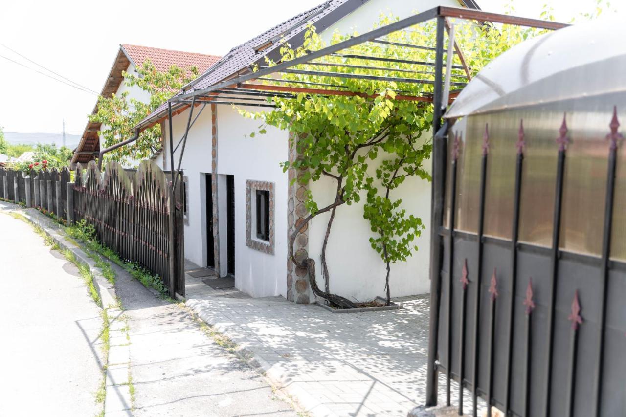 La Fanar Guesthouse Куртя-де-Арджеш Экстерьер фото